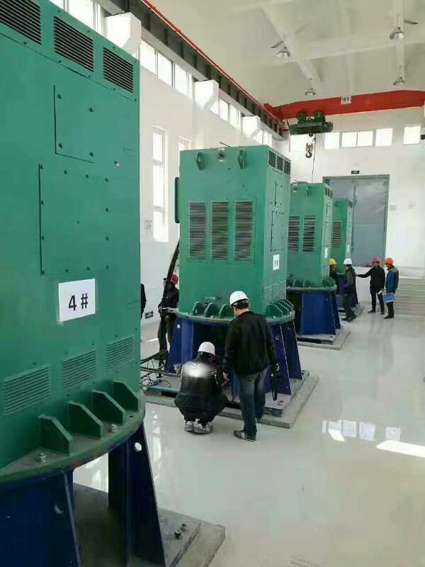 海东某污水处理厂使用我厂的立式高压电机安装现场