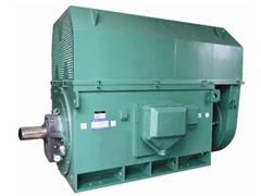海东Y系列6KV高压电机